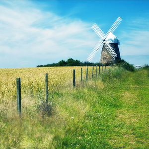 黄毛女❌18禁视频网站在线
