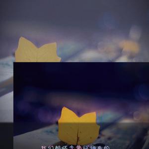 黄毛女❌18禁视频网站在线
