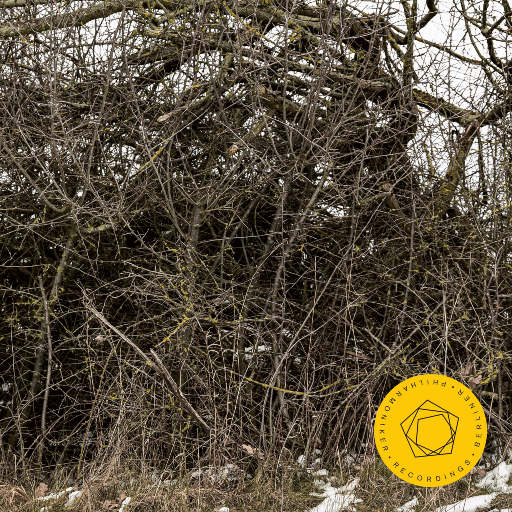 黄毛女❌18禁视频网站在线
